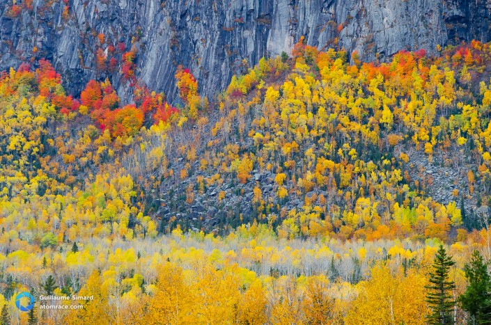 Les couleurs de l’Acropole des draveurs