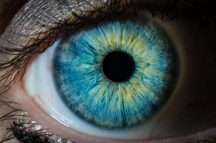 oeil-bleu