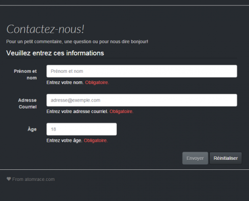 Formulaire Angular jS