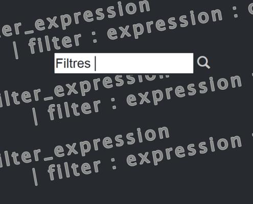 Filtrer avec Angular JS