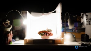 Focus stacking - fusion