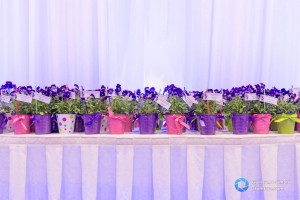 Photographie de mariage de Bruno et Thérèse