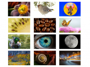 calendrier 2016 - des photographies pour toute l'année