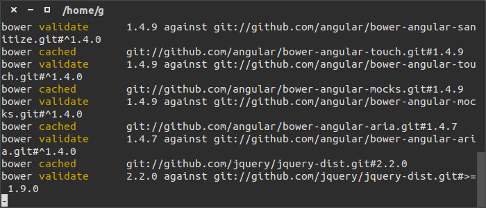 yeoman-installation-angular-etape-3