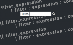 Filtrer avec Angular JS