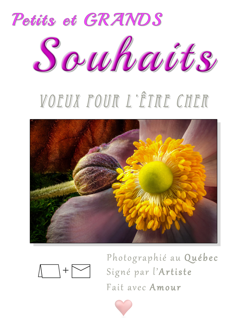 carte de souhaits - Petits et Grands Souhaits