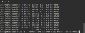 bash ps