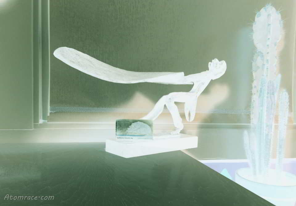 raspberry-pi-camera-filter-demo-negative filtre negative