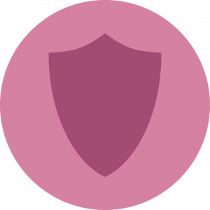 Bouclier de la vie privée
