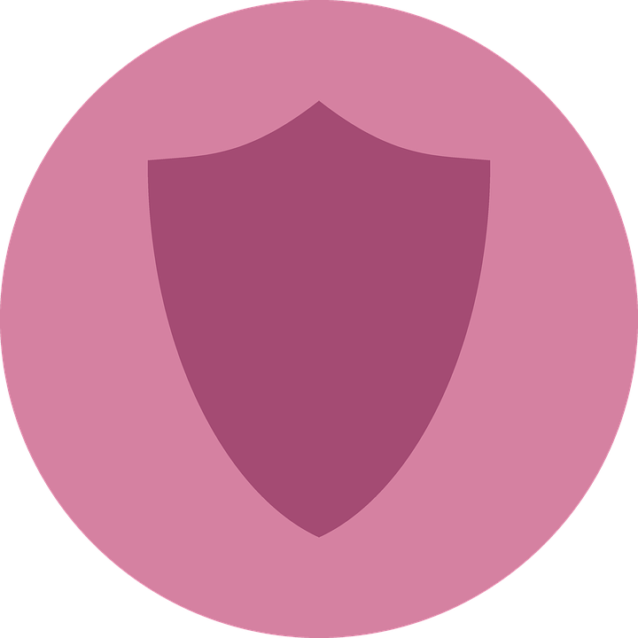 Bouclier de la vie privée