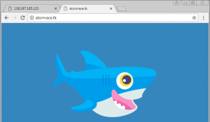 Fenêtre du navigateur : DNS et nom de domaine fonctionnel
