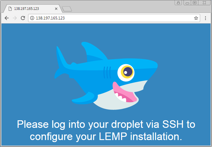 Serveur Web LEMP fonctionnel dans le navigateur Chrome. Accès par l'adresse IP du serveur. Accès au serveur Web par l'adresse IP du serveur.