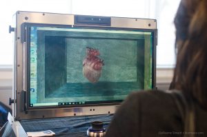 Écran 3D