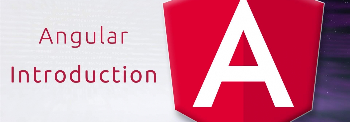 Logo Angular 7